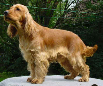 cheiron_stehend-k.jpg