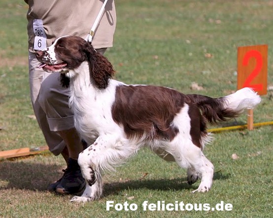 cody03_krefeld2010-c.jpg